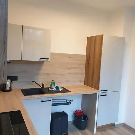 Apartment Monteurhome24 - Moderne In Zwickau